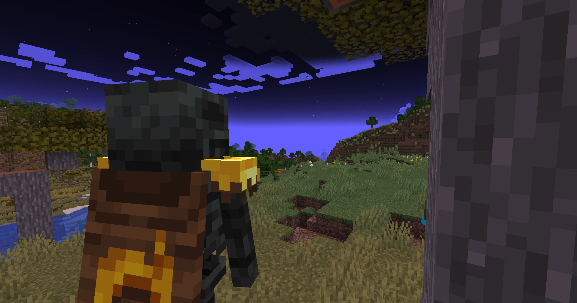 The Wither Notch — screenshot 3