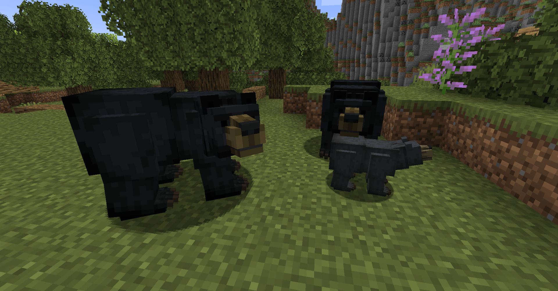 Thumbnail new-black-bear.png