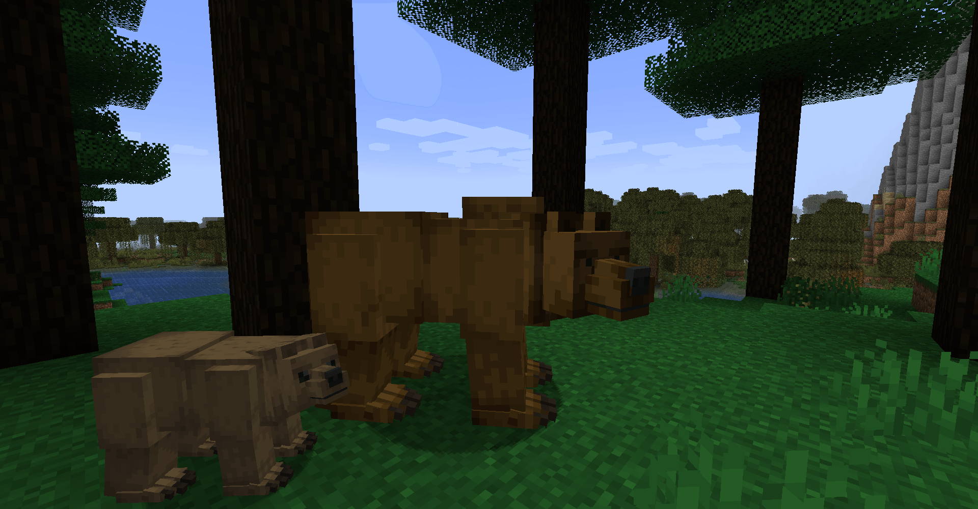 Thumbnail new-brown-bear.png