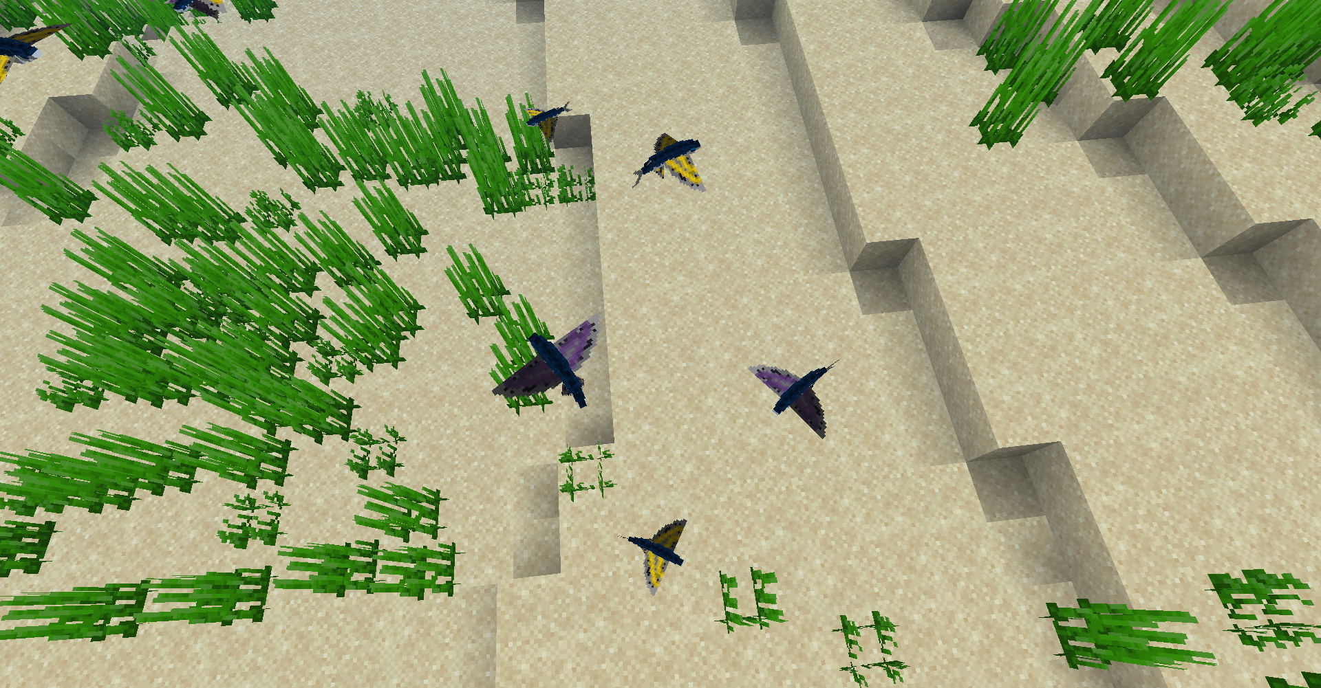 Thumbnail flying-fish.png
