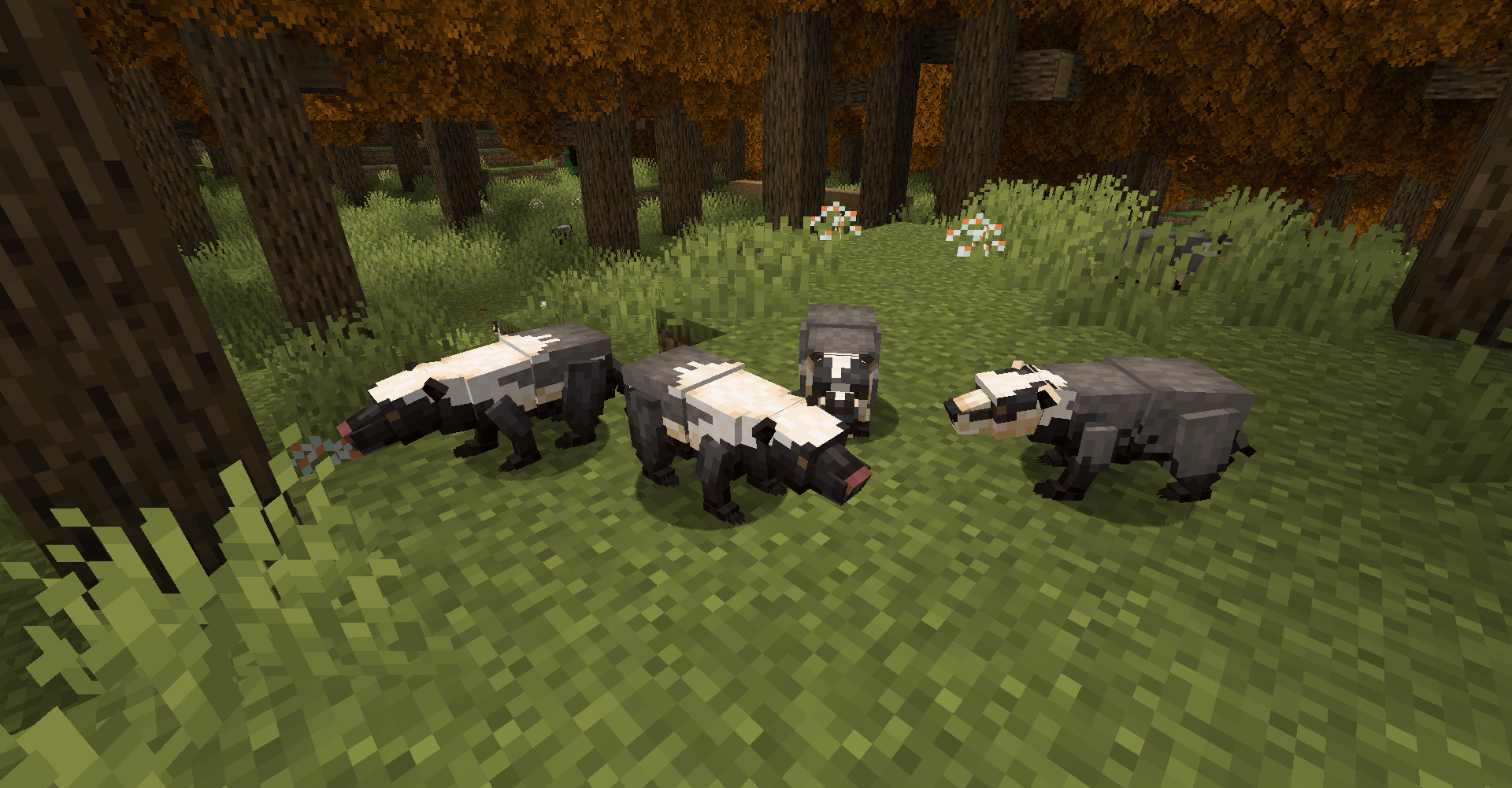 Thumbnail new-badgers.png