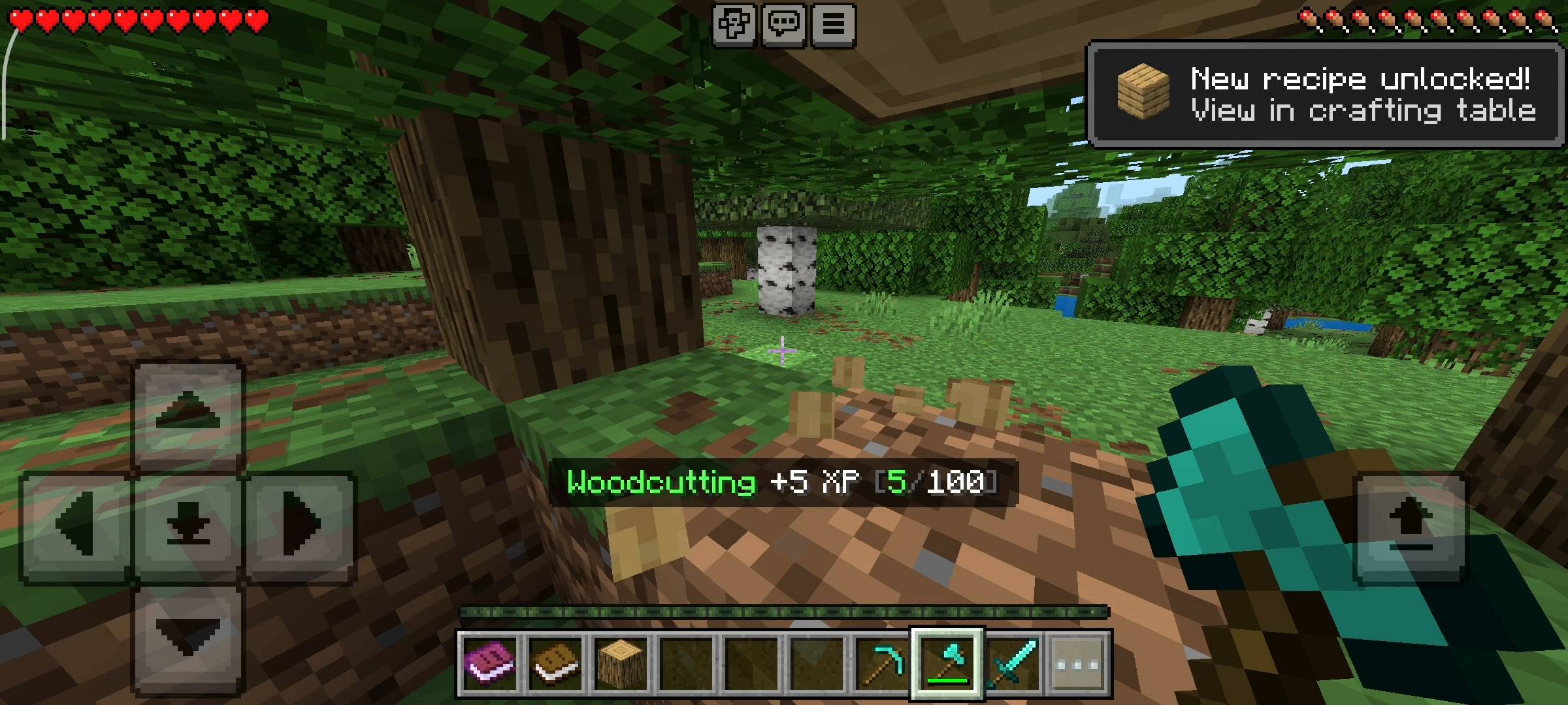 NovaCraft RPG Skills (8).jpg