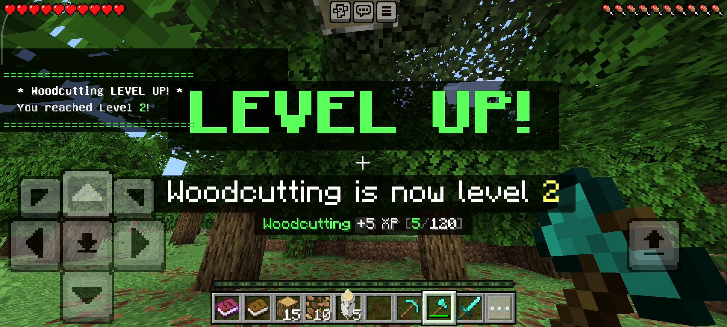 NovaCraft RPG Skills (9).jpg