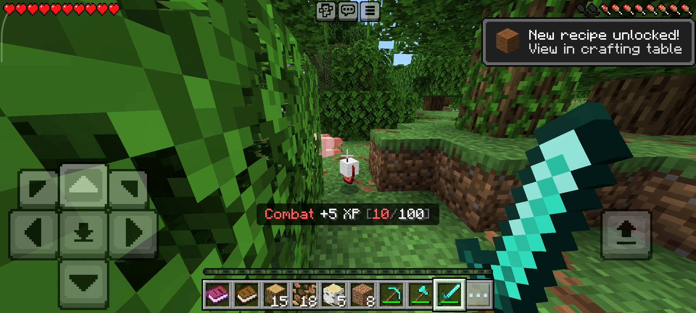 NovaCraft RPG Skills (11).jpg
