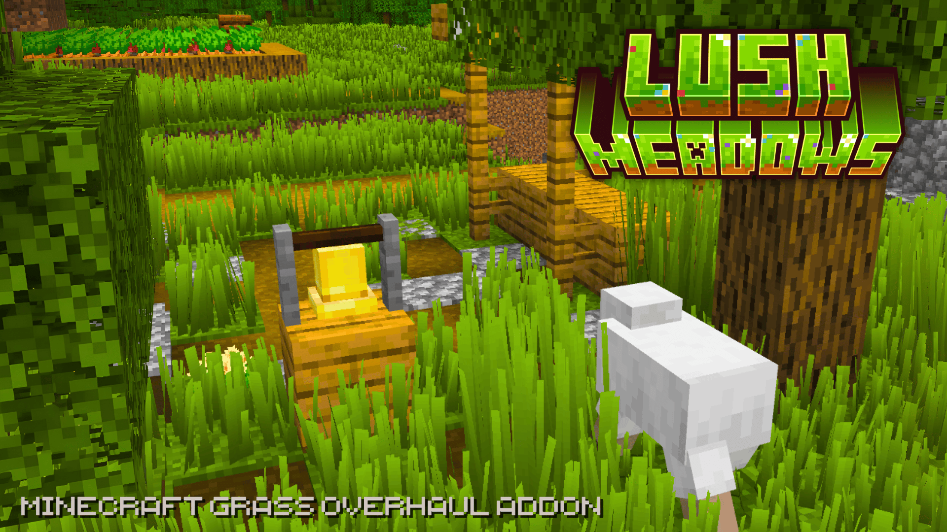 Lush Meadows