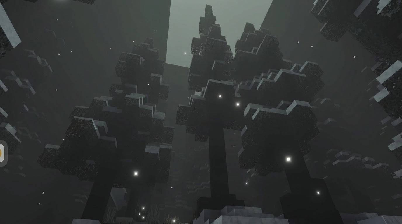 312108480_1784869025437153.jpg