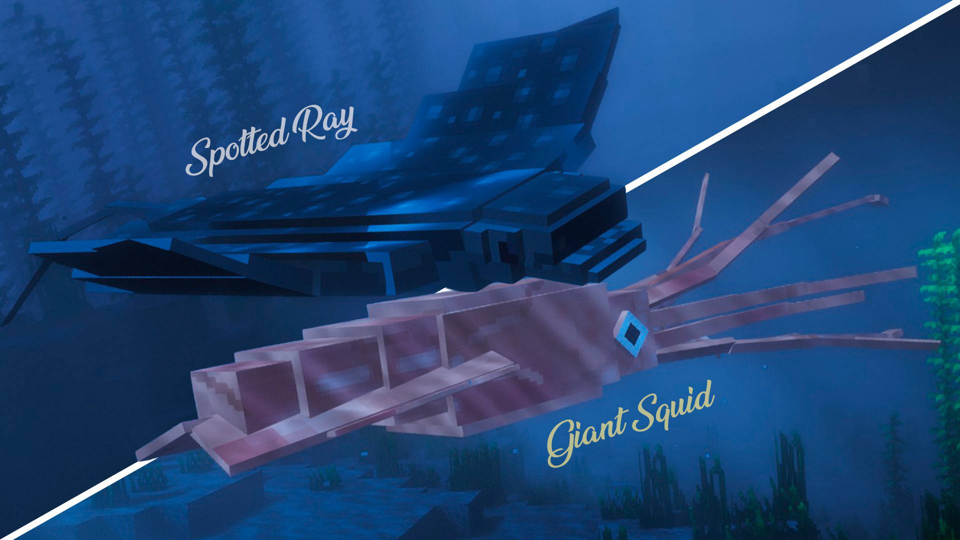 Spotted-Ray and Giant Squid
