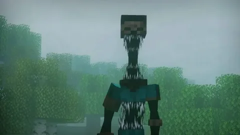 The_Anomaly