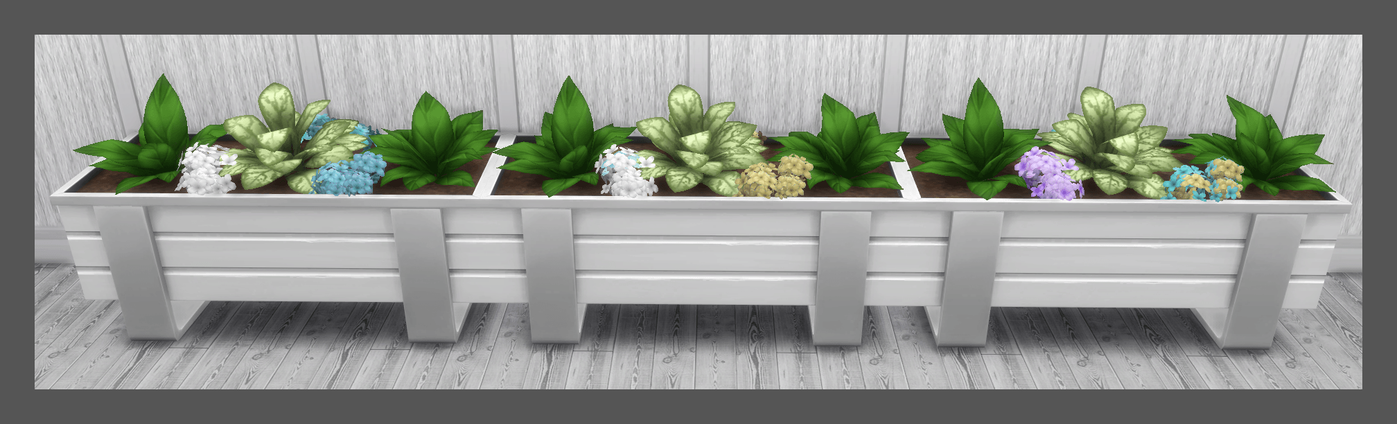 Thumbnail HC PP PLANT COLOURS.png