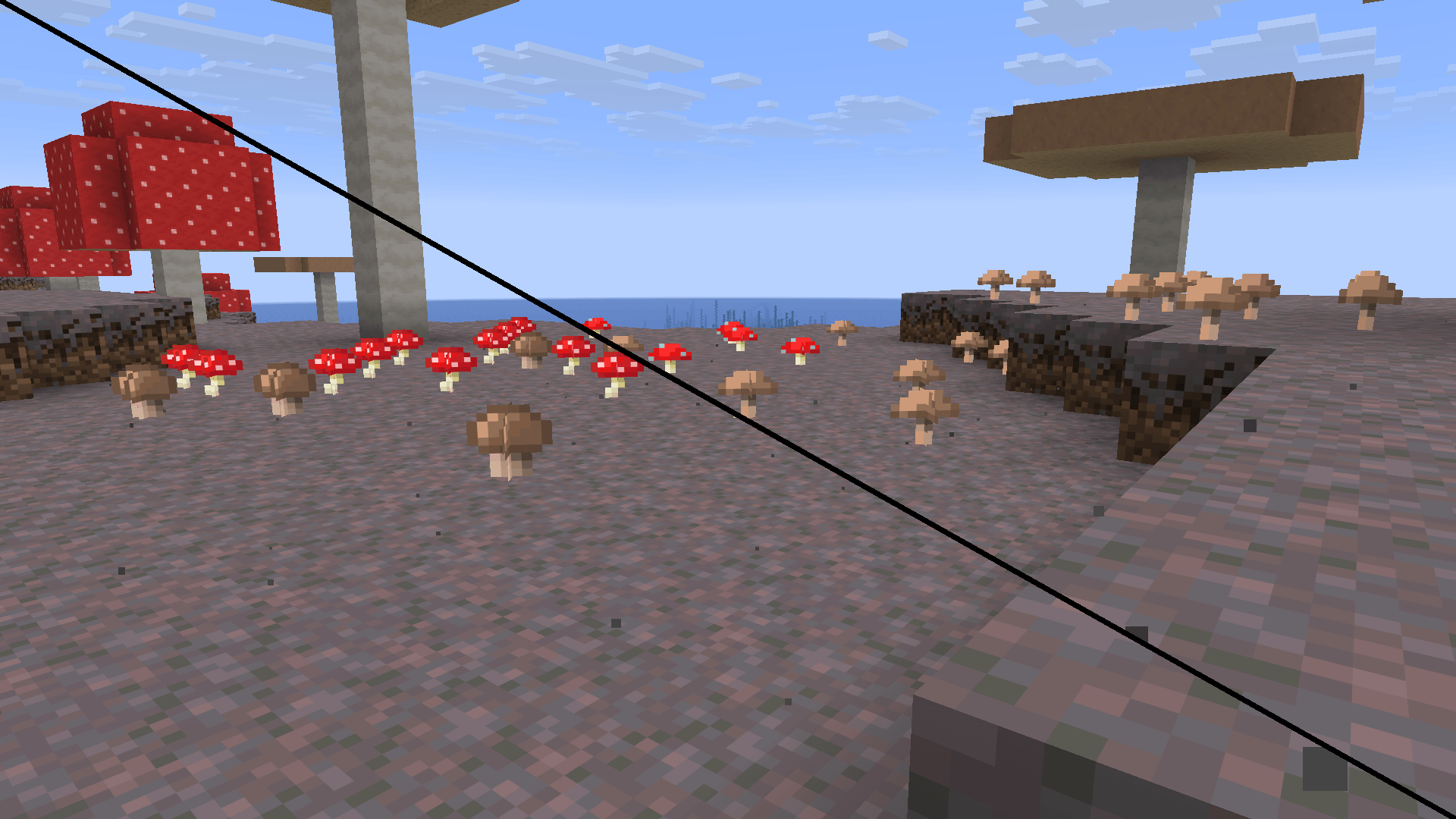 Mushrooms