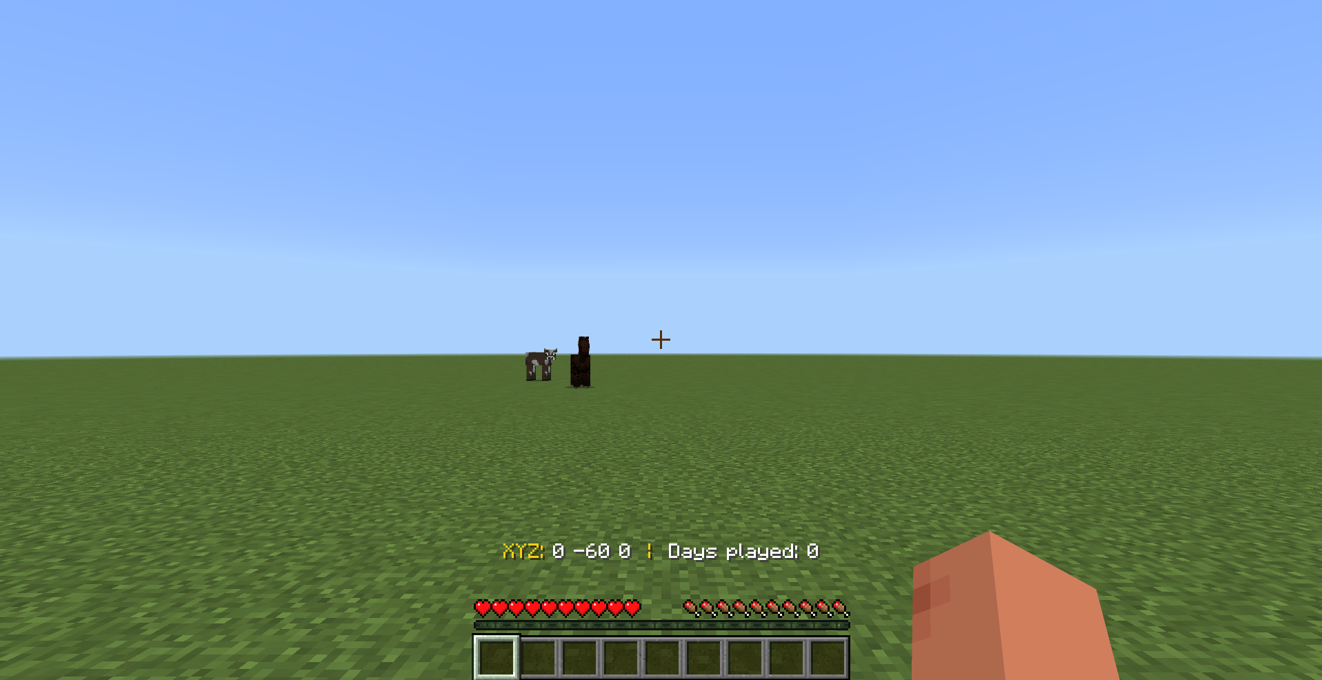 Coordinates HUD Bedrock — screenshot 1