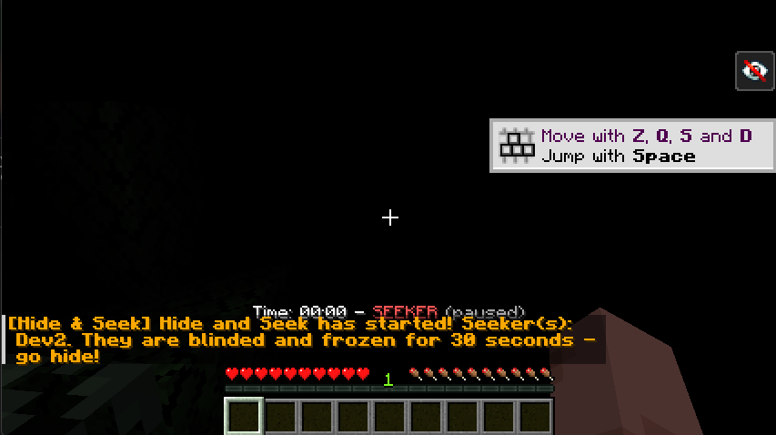 What does the seeker see at the start