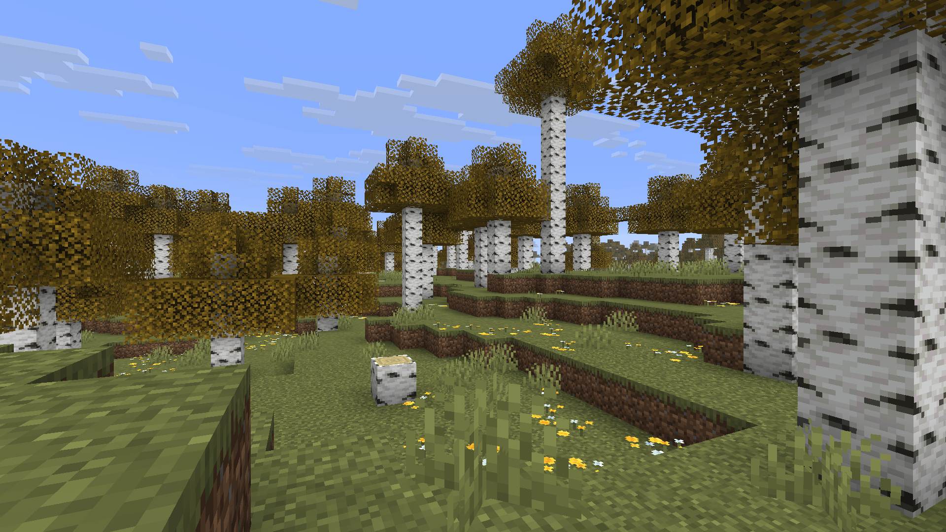 A cool birch forest with the Golden Birch Forest extension enabled