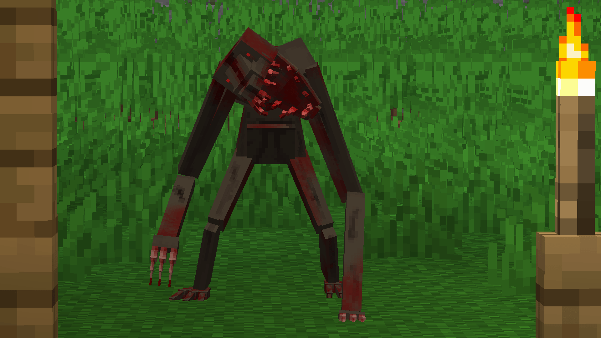 Creator's Creation