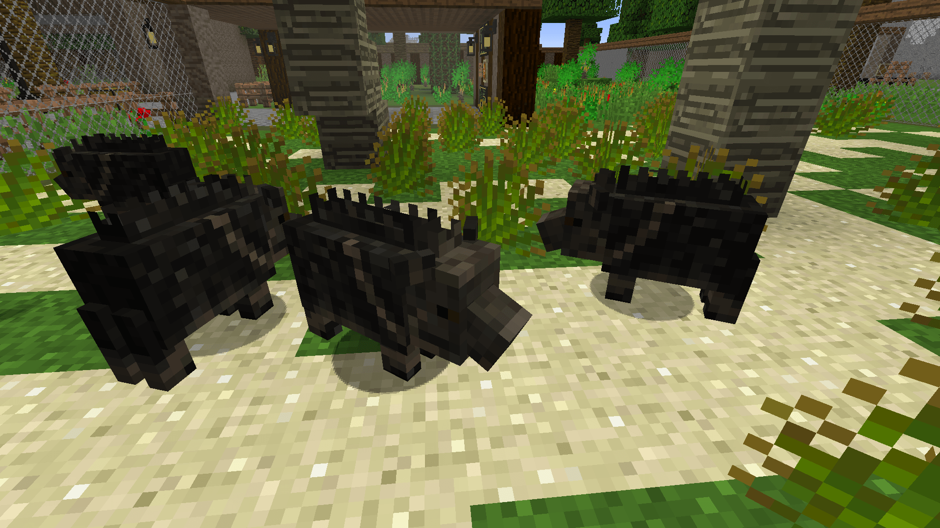 Chacoan Peccary