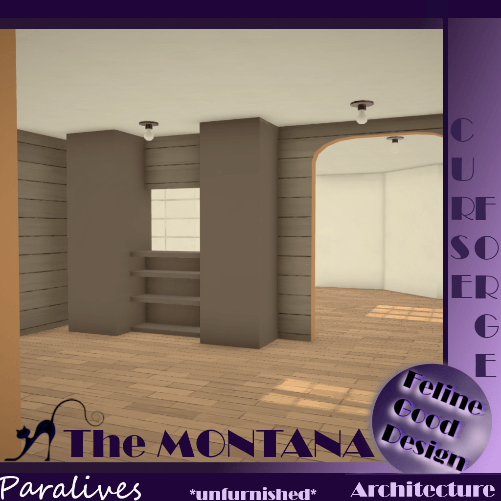 theMONTANAunfurnished0d.png