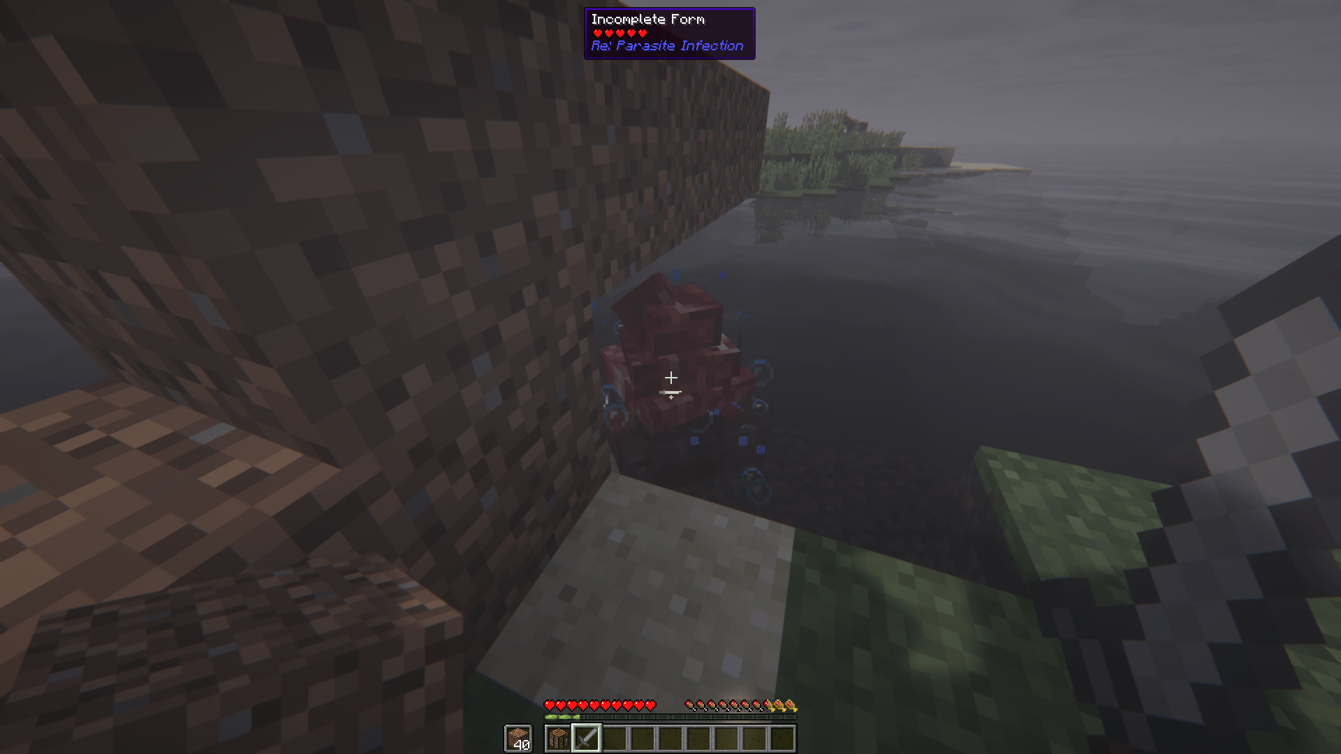 RePI_ss1.png
