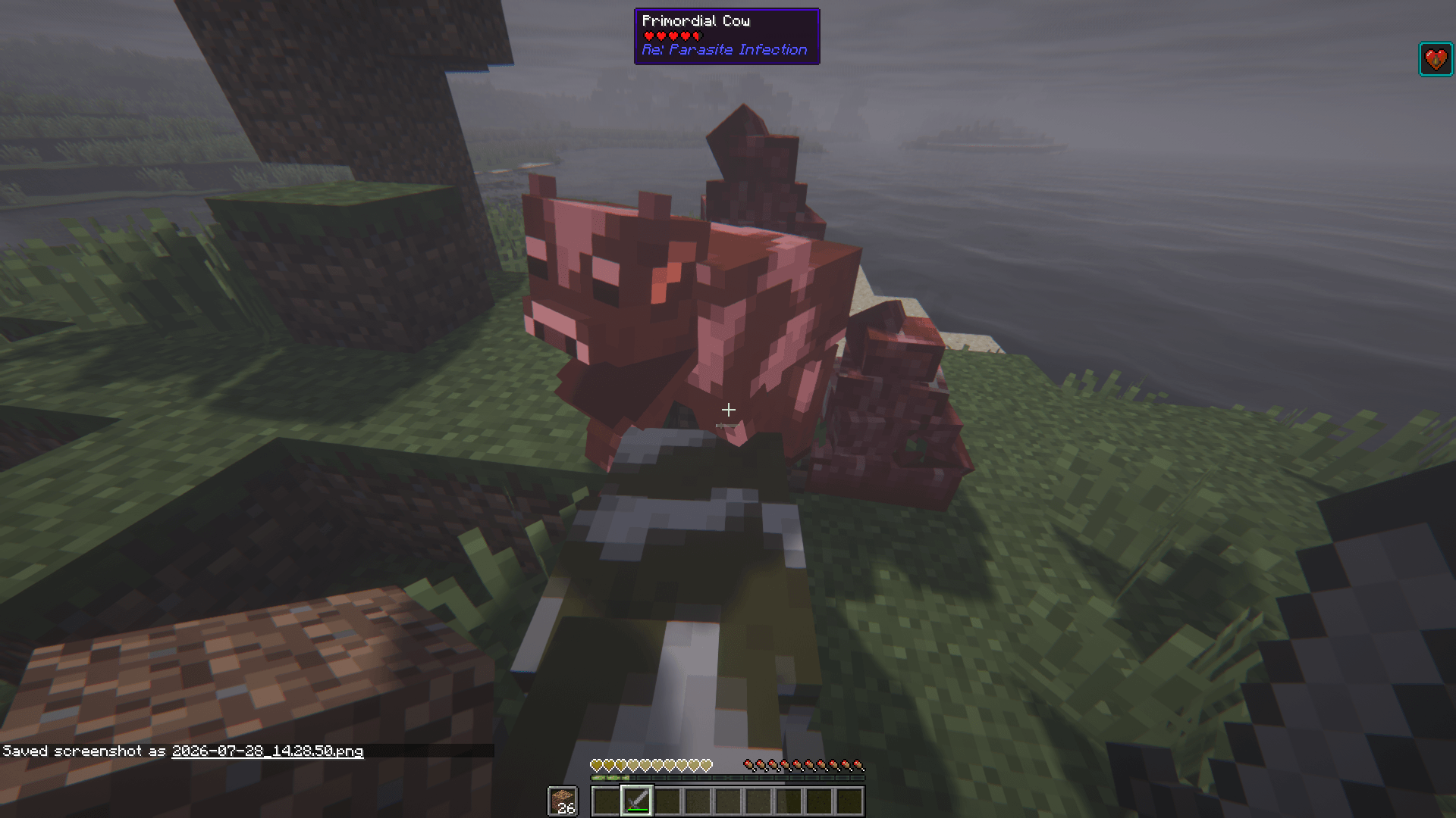 RePI_ss2.png