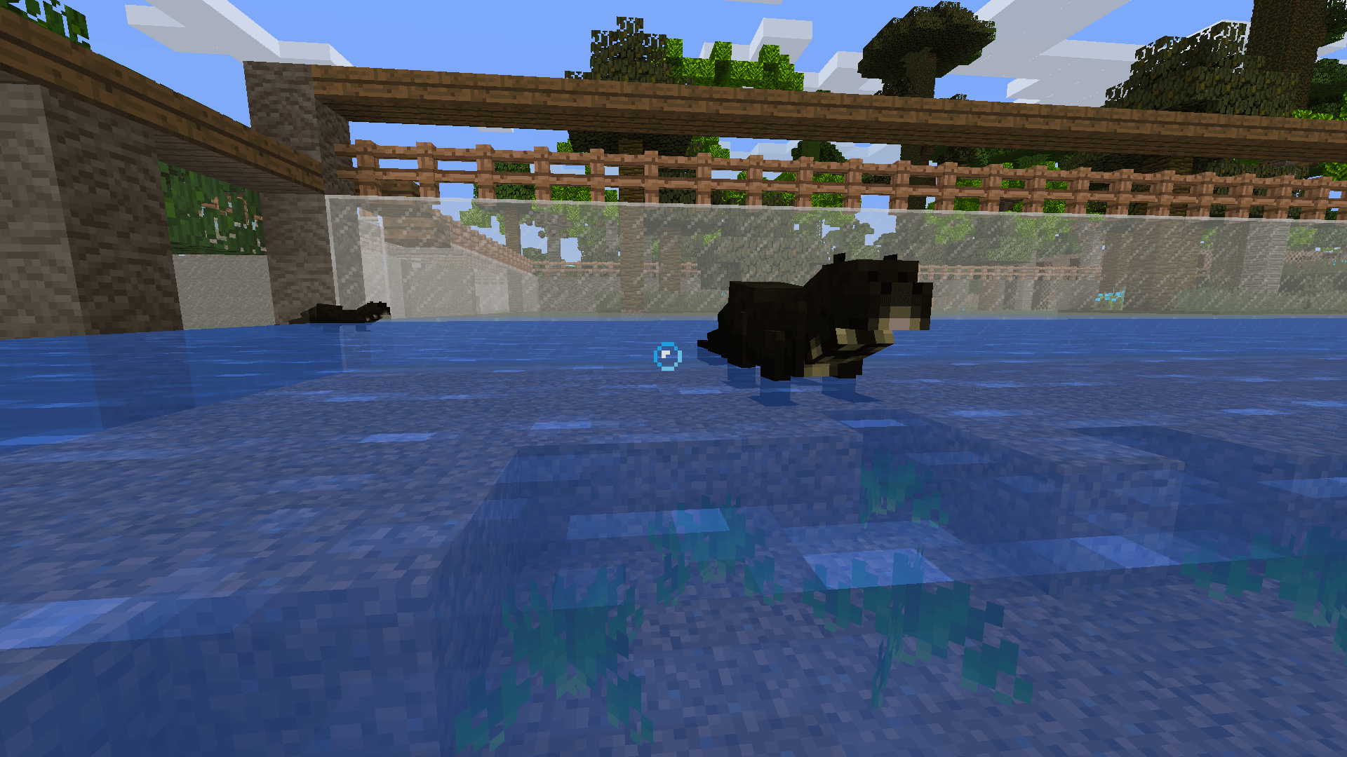 South American Wildlife — screenshot 5