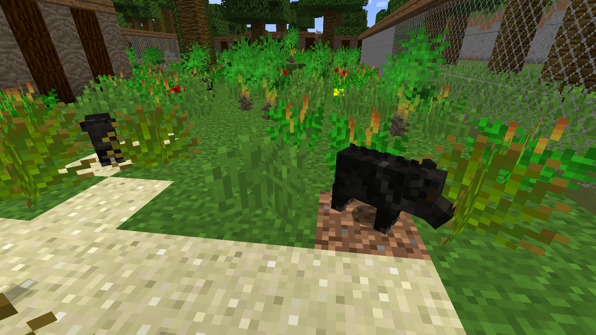 South American Wildlife — screenshot 6