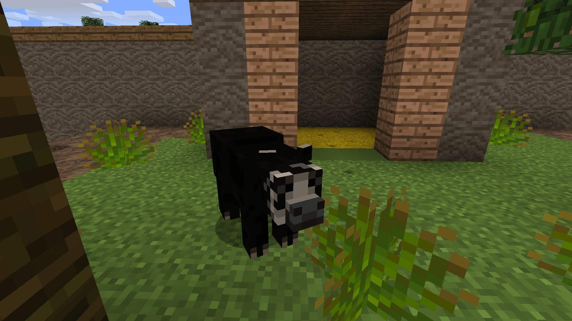 South American Wildlife — screenshot 8