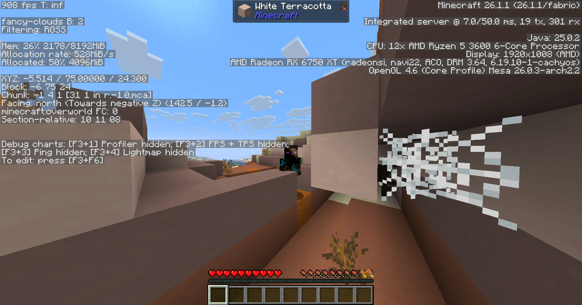 An image of the F3 menu, Jade (the block you are looking at, at the top of the screen!) and your hot- and hunger bar