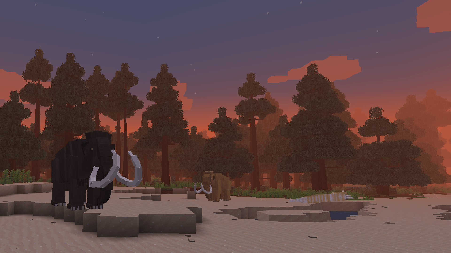 Seamless Horizons.png