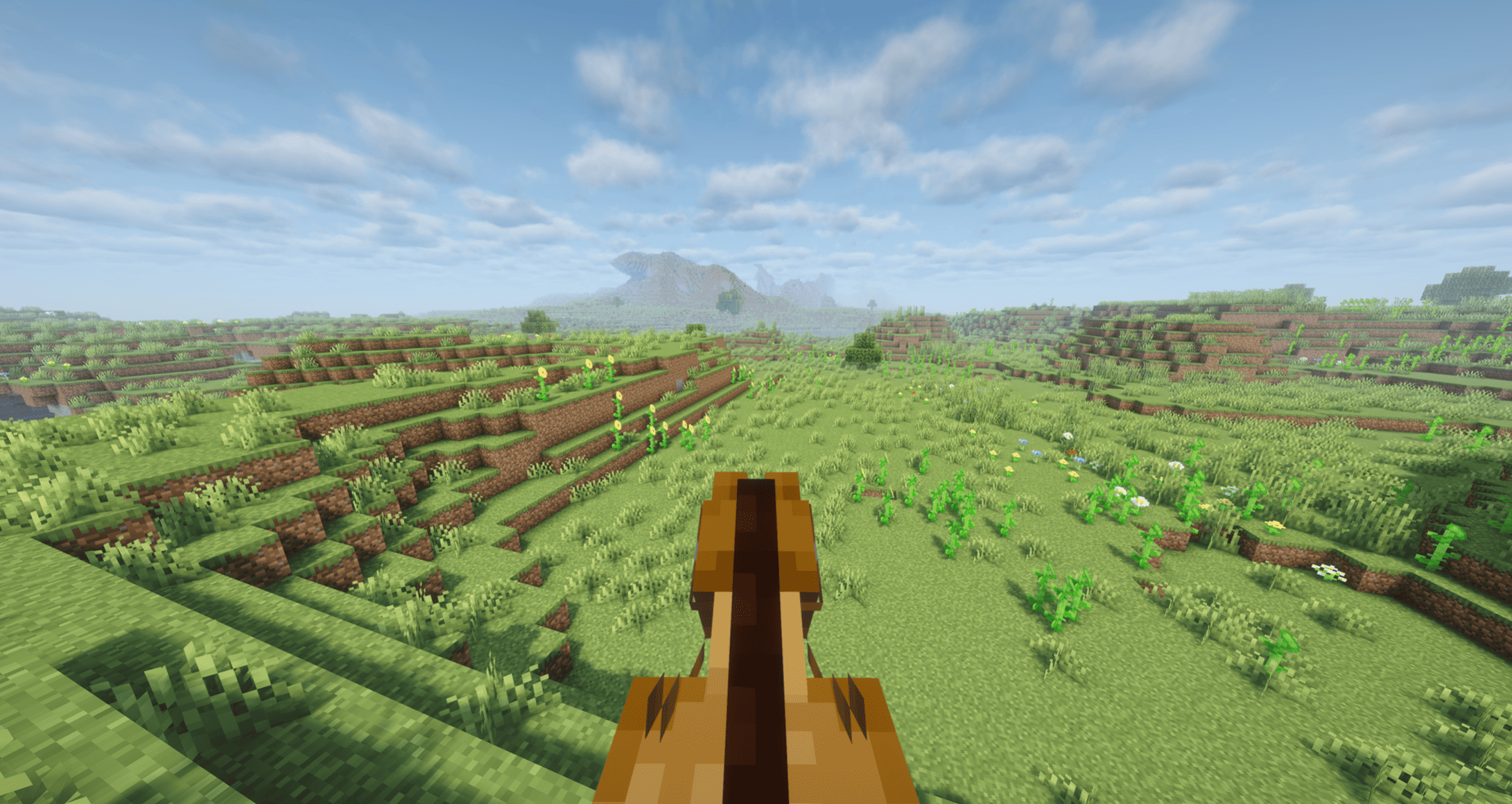 First-person POV of riding a horse with lowered head view