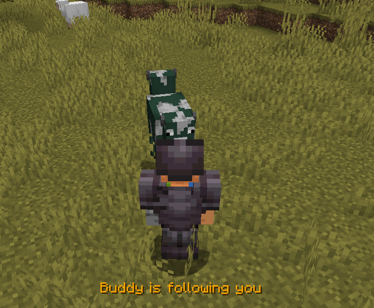 buddy-follow.png