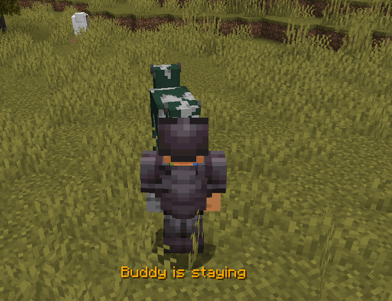 buddy-stay.png