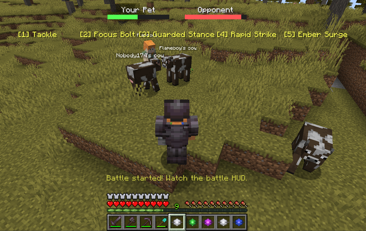 pet-battle.png
