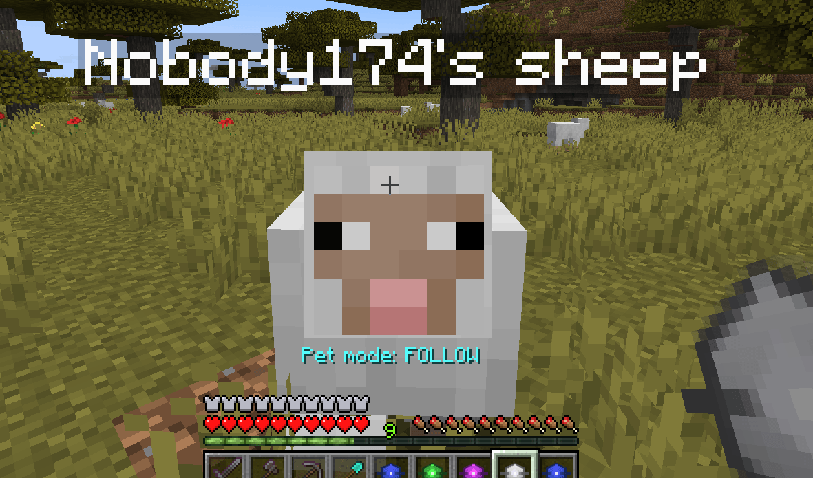 pet-follow.png