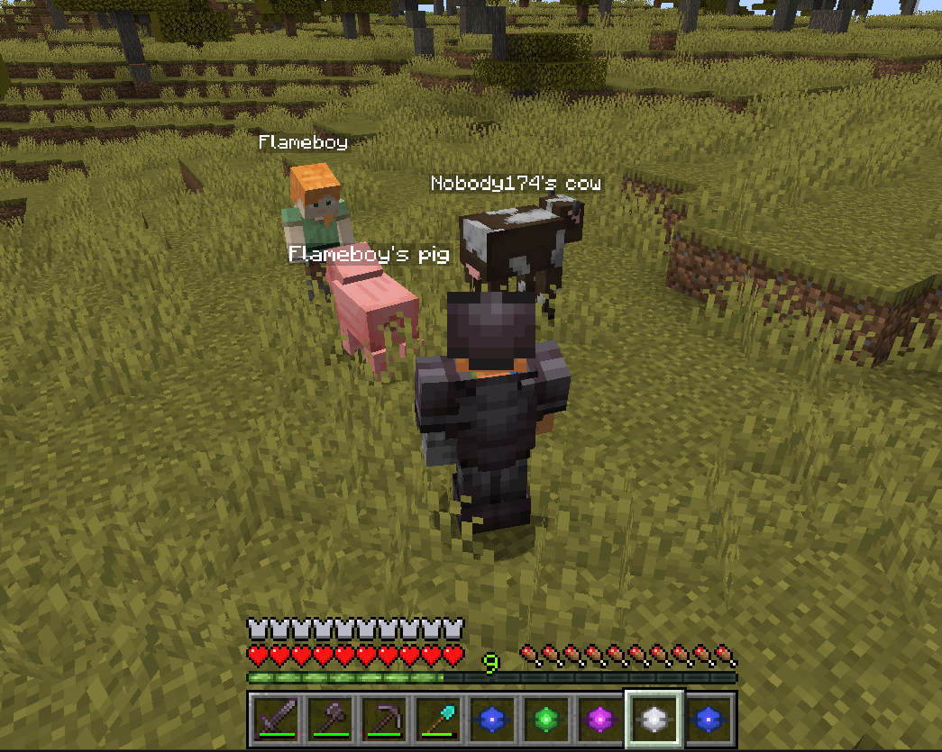 pets-player-prebattle.png