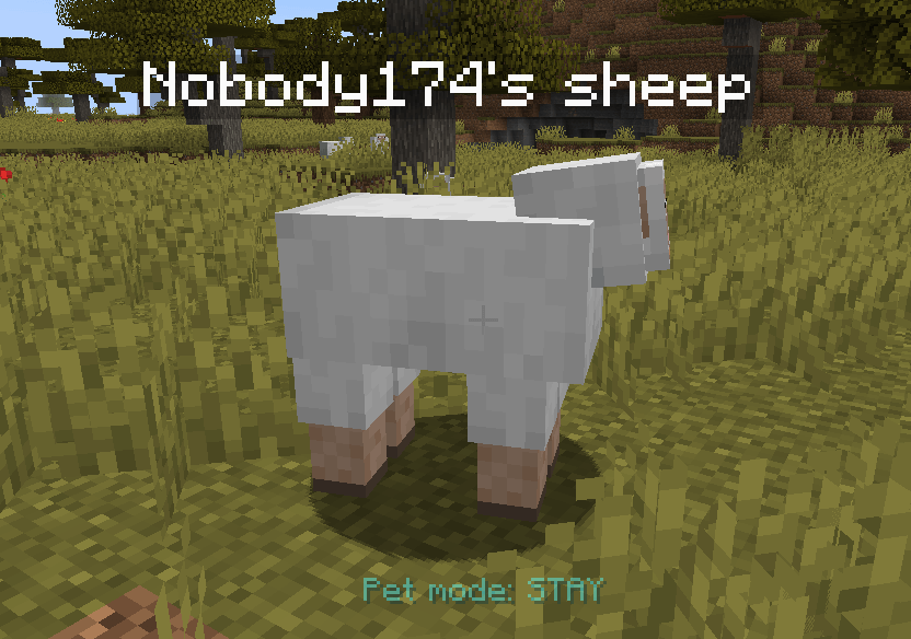 pet-stay.png