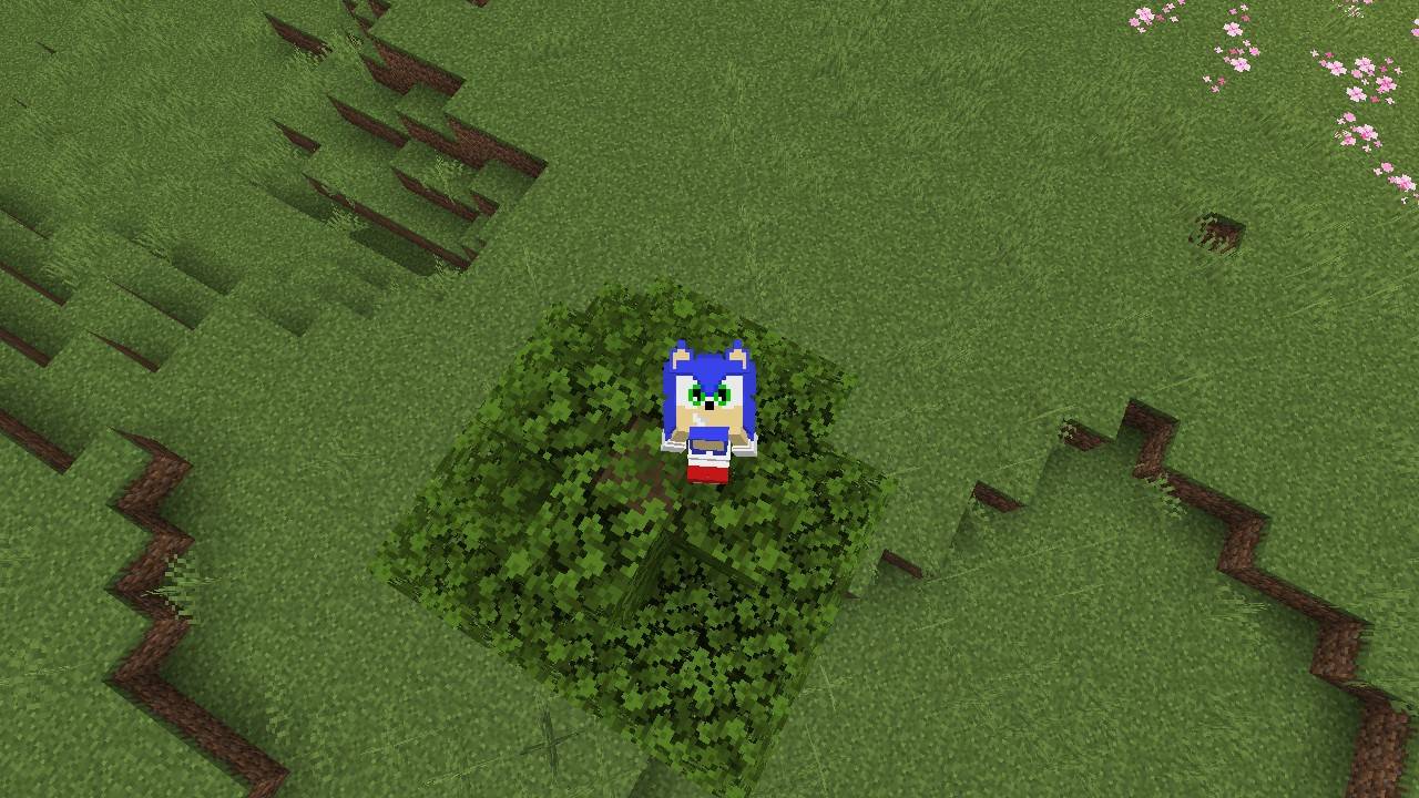 Sonic The Hedgehog 4d Skin thumbnail 2