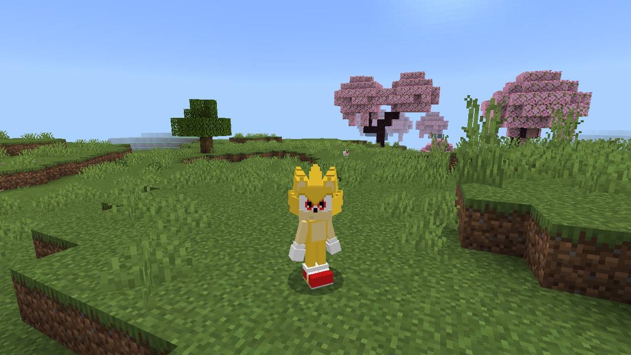 Sonic The Hedgehog 4d Skin thumbnail 3