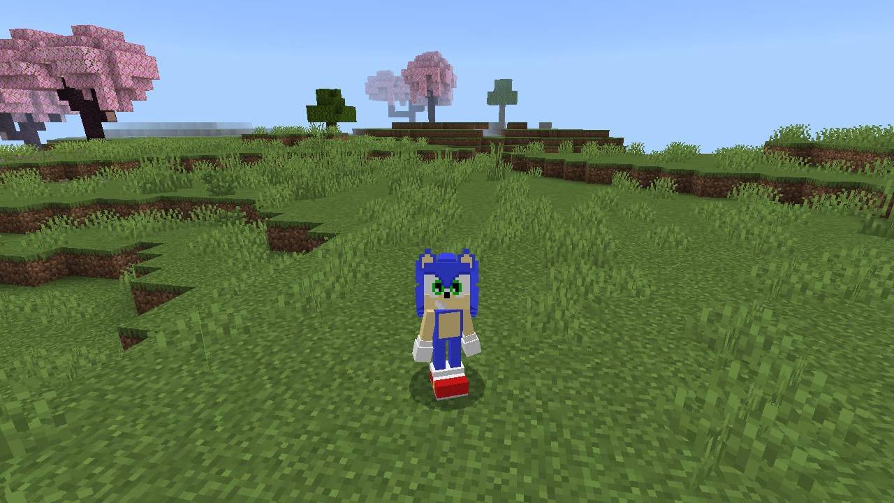 Sonic The Hedgehog 4d Skin screenshot active