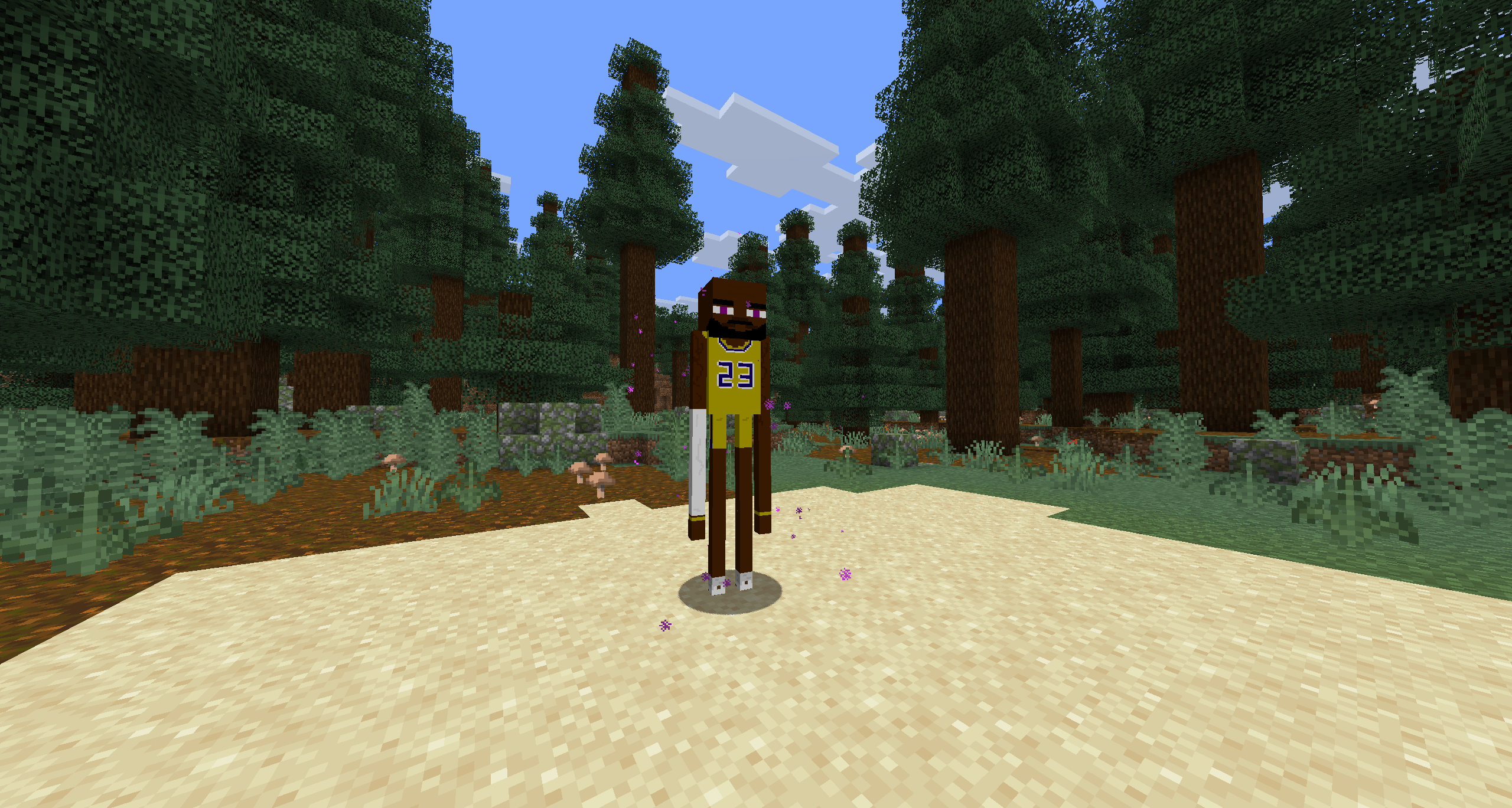 Basketball Enderman.png