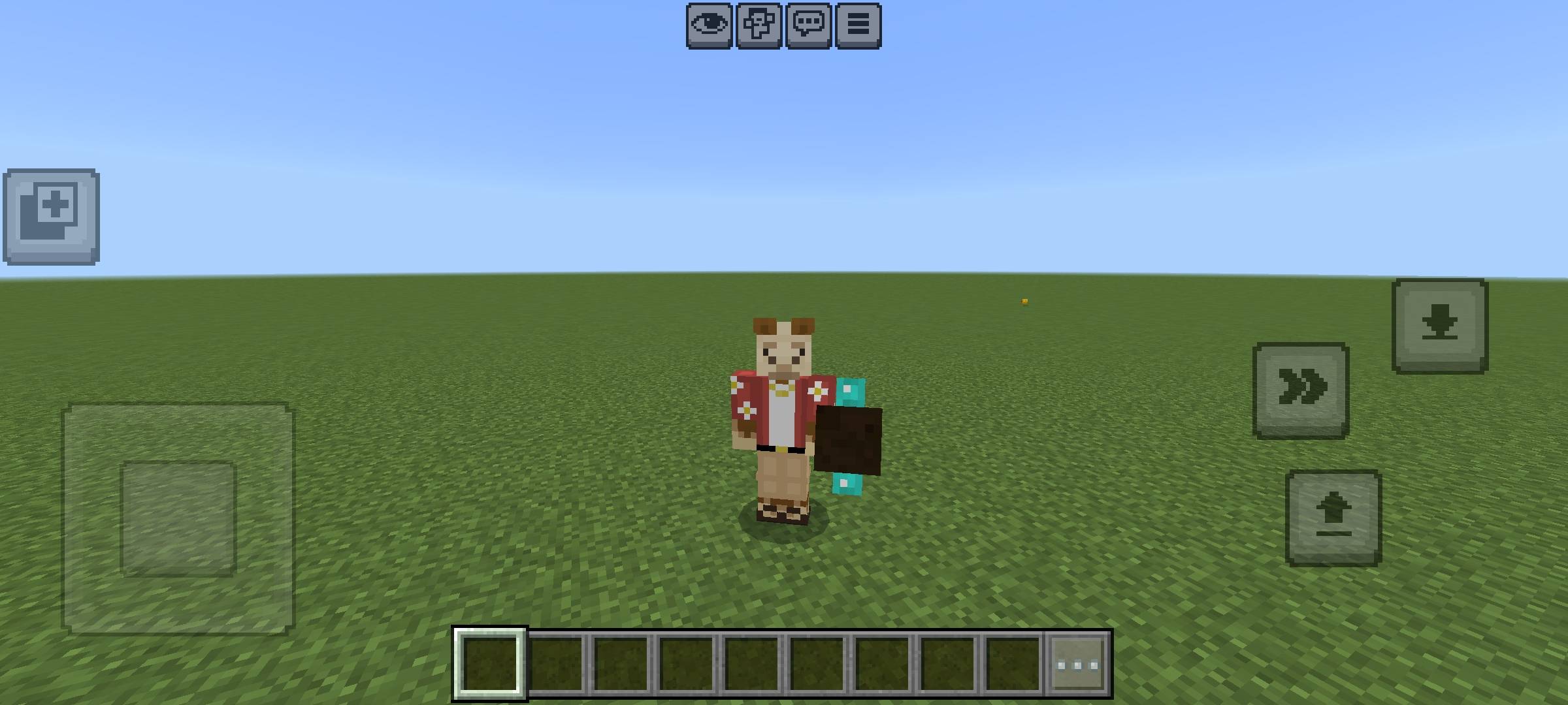 Player Shield thumbnail 1