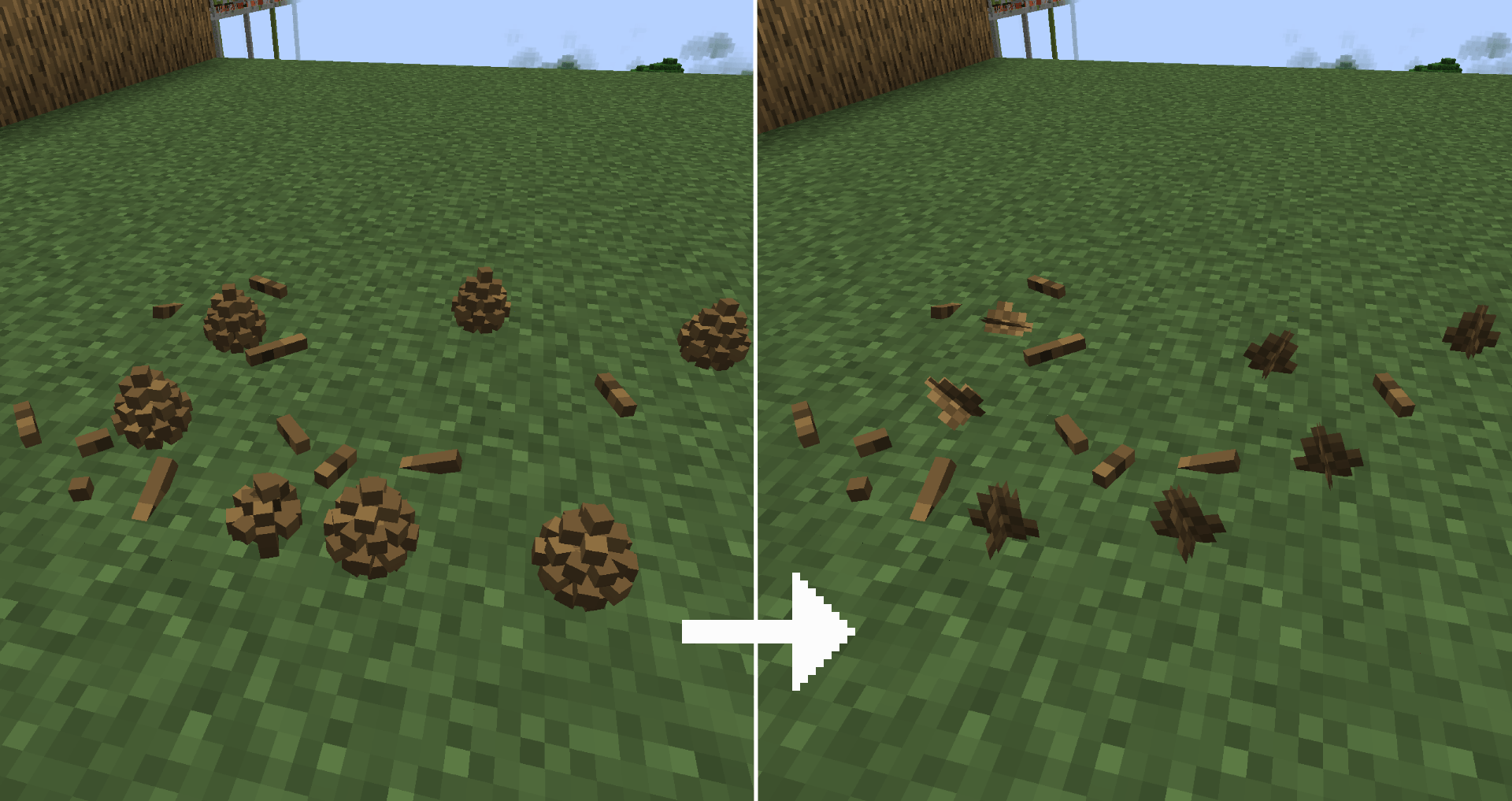 pinecones.png