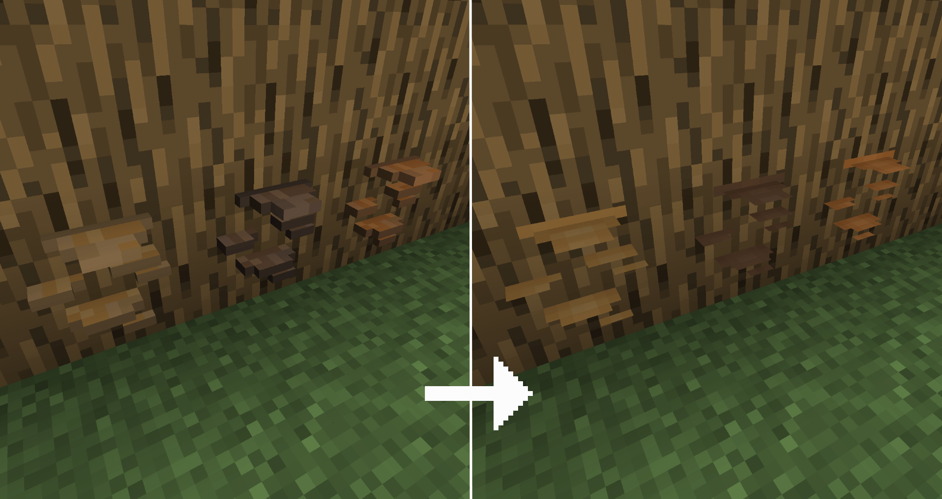 mushrooms.png