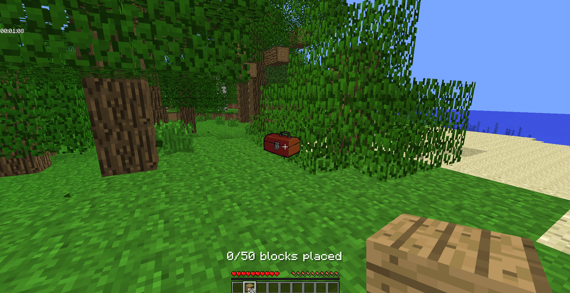 Build a small house using 50 blocks