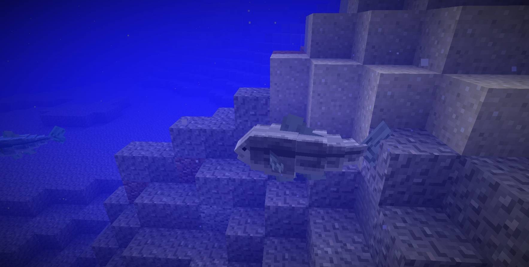 an ordinary fish