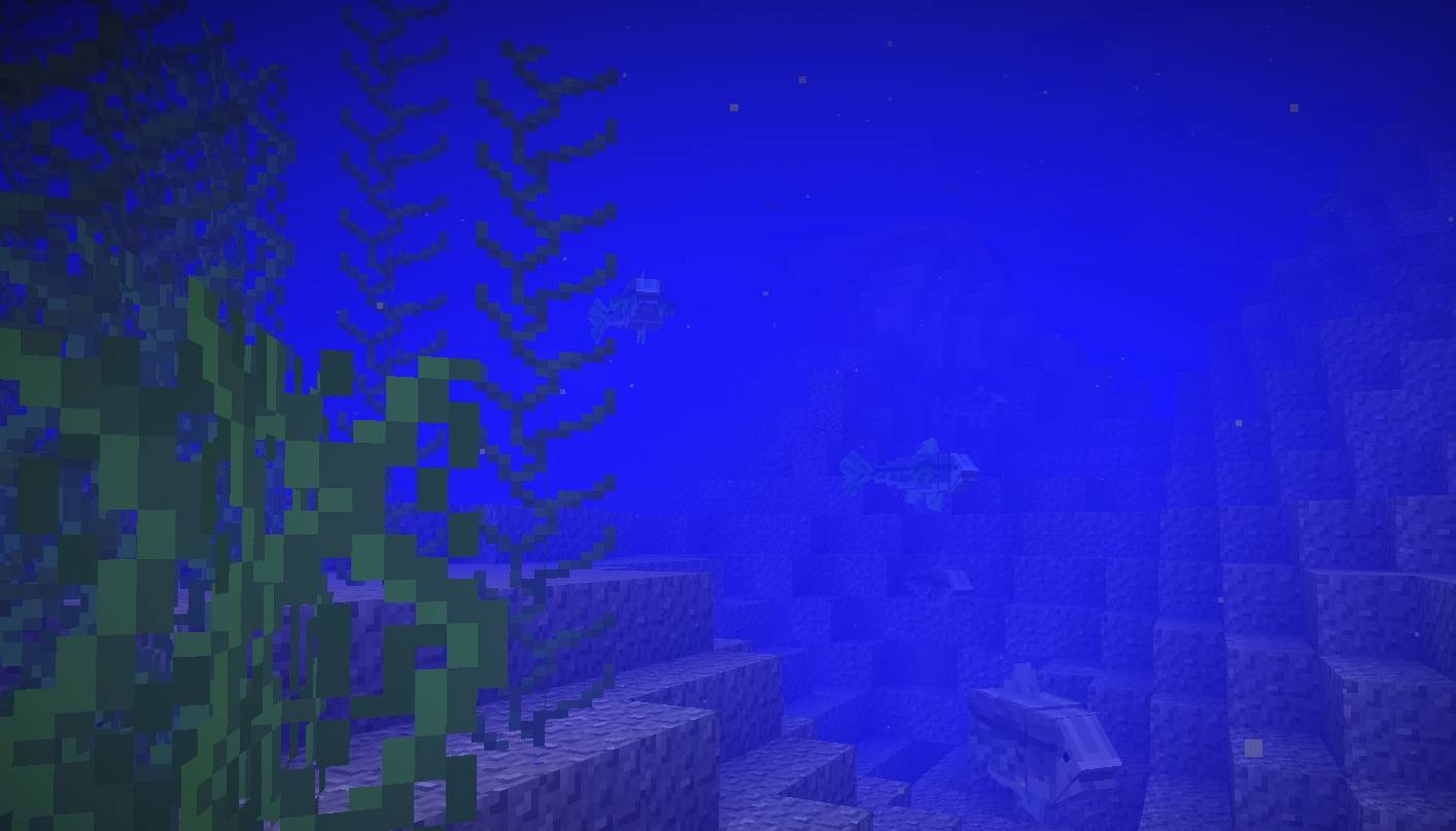 Schools of fish in the ocean