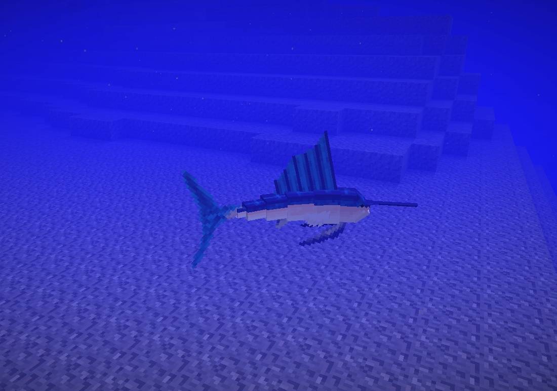 Sailfish