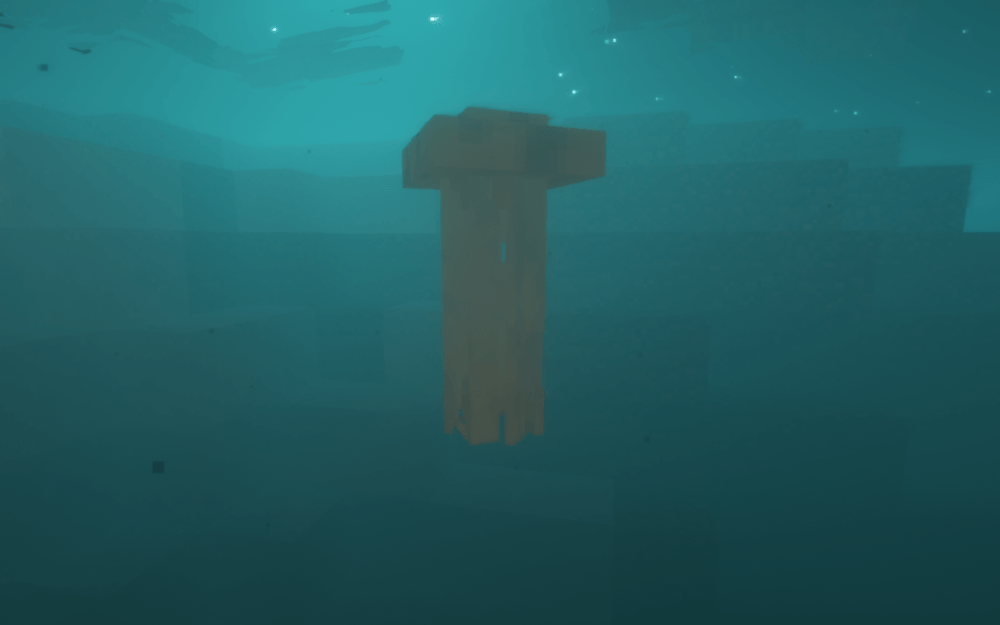 compass jellyfish