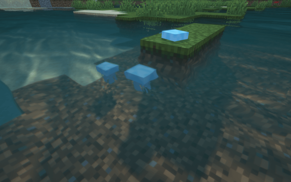 moon jellyfish