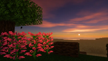 677275fe2116d385c1a5cce8609dc326782c904e_350.webp