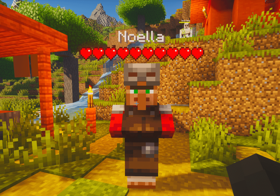 Works with Villager Names + Better Health Indicator