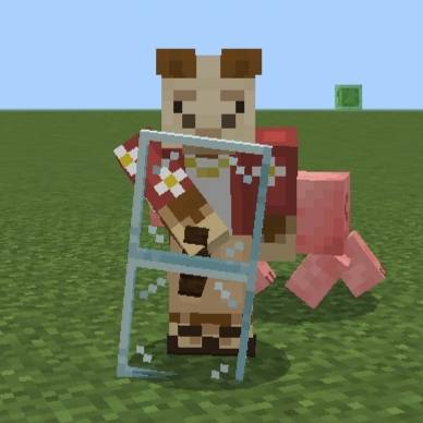 Glass Shield thumbnail 1